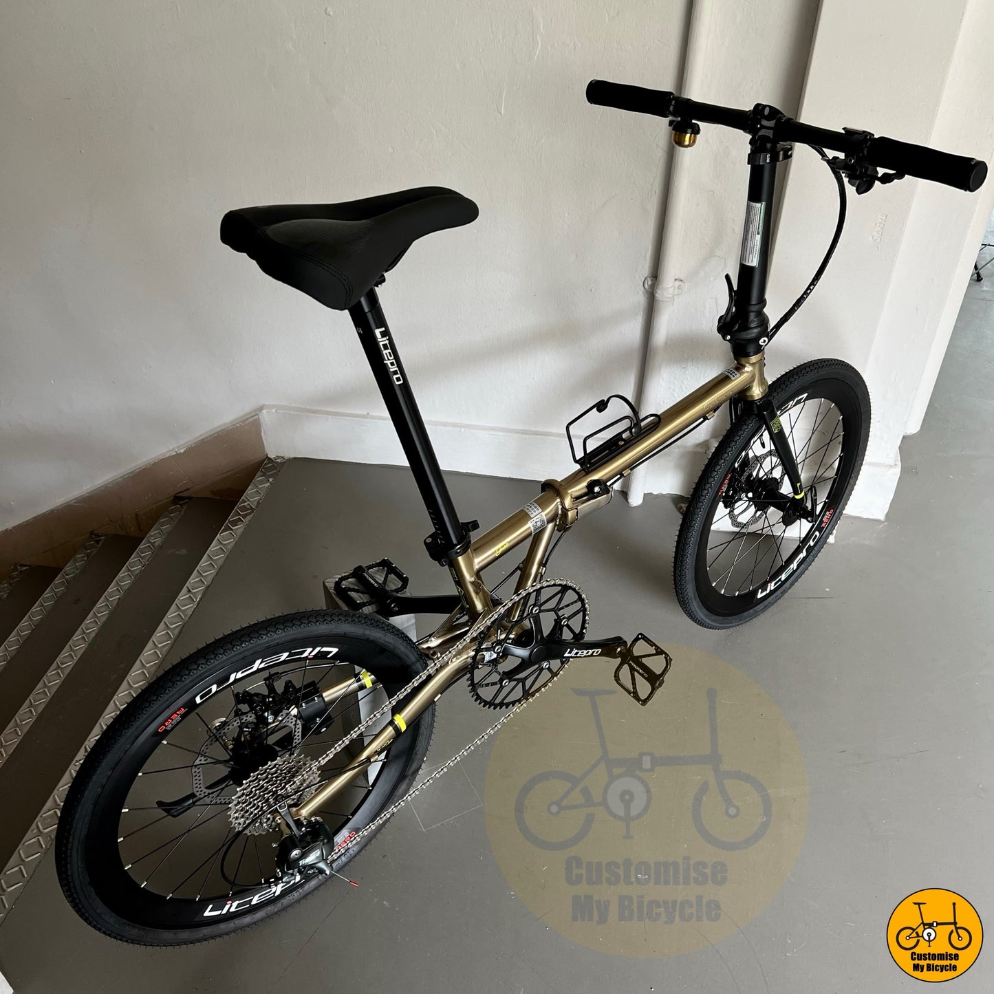 Fnhon Gust 22" Folding Bike in Titanium Gold β Stylish & Compact Ride