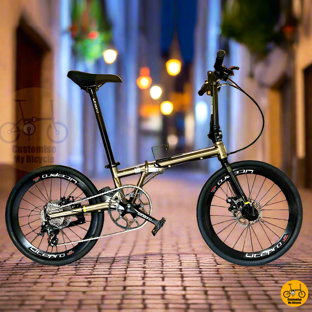 Fnhon Gust 22” • Shimano 10s • Titanium Gold