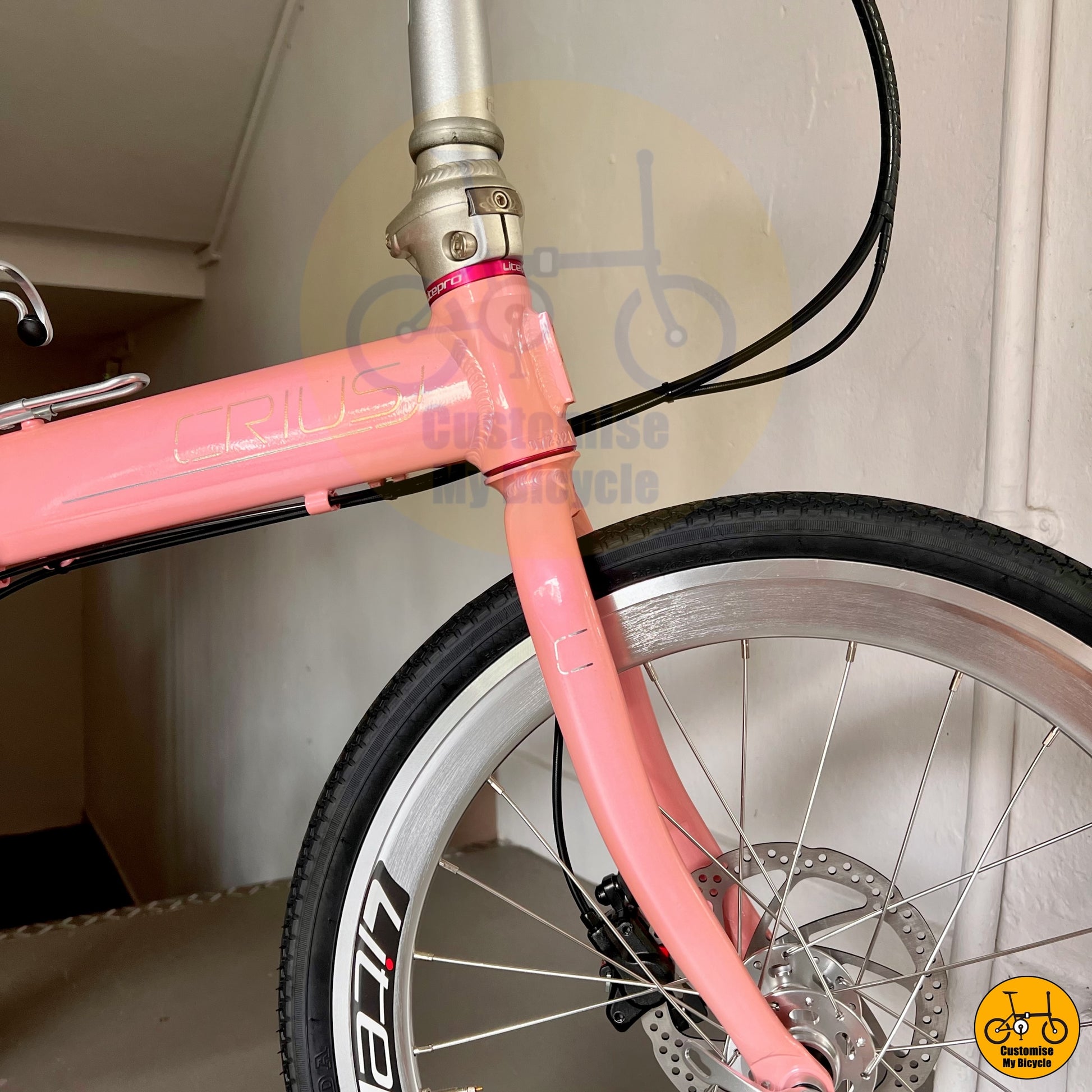 Baby Pink Crius Master 22-Inch Foldable Bicycle – A Feminine Touch with High Performance
