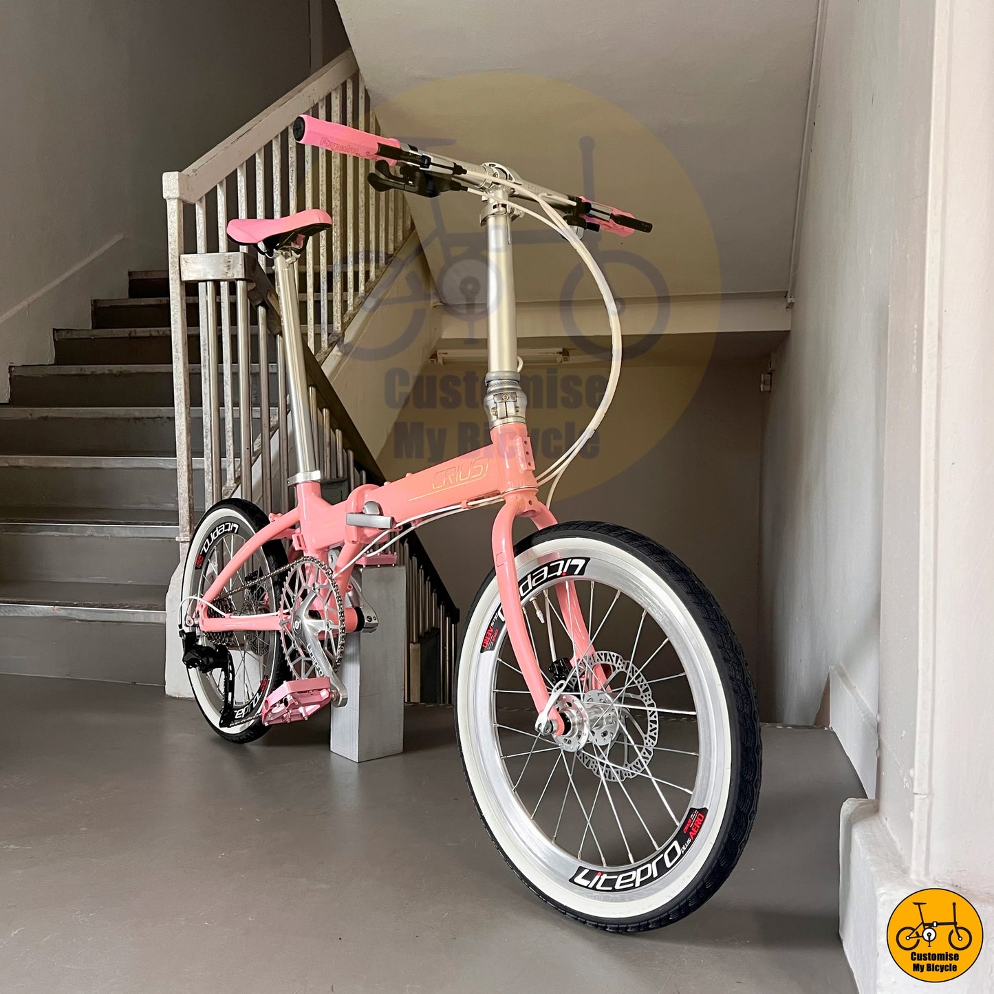 Value-for-Money Crius Master 22-Inch Folding Bike – Budget-Friendly & Durable
