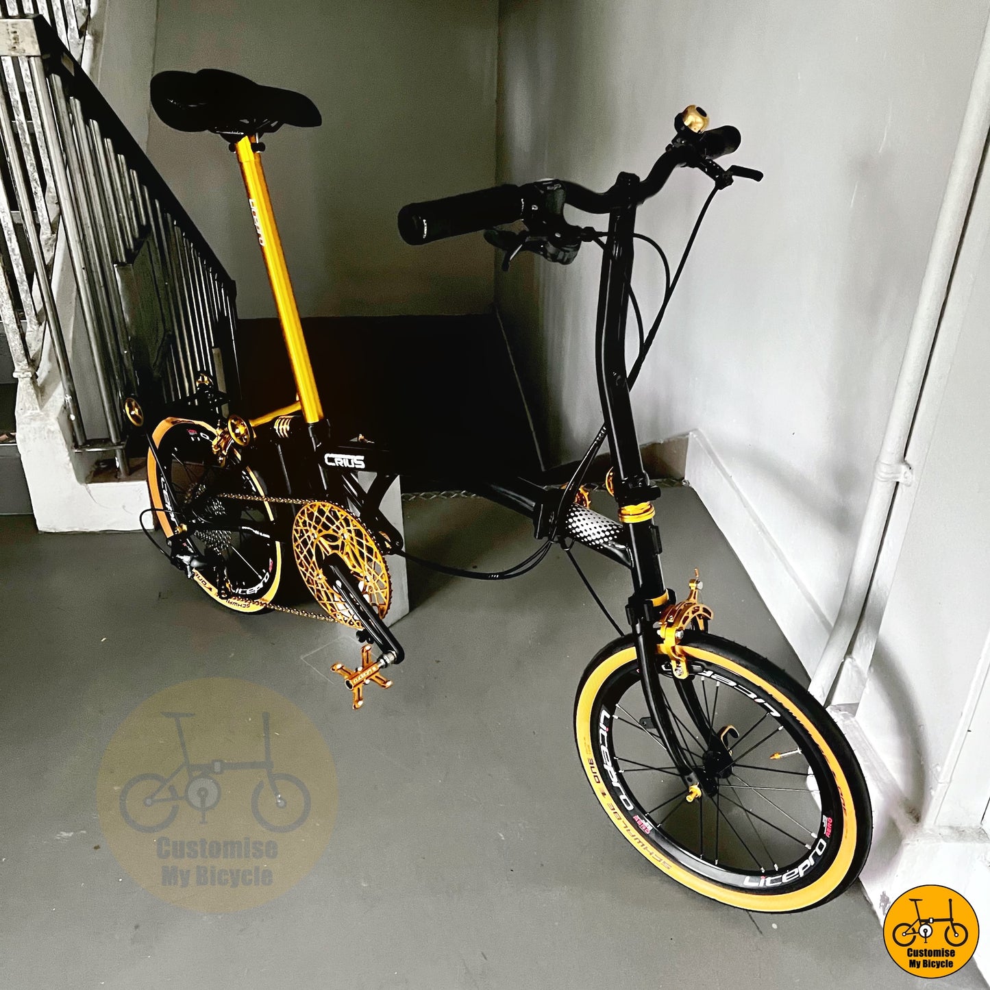 Compact foldable bicycle with premium tan wall tyres
