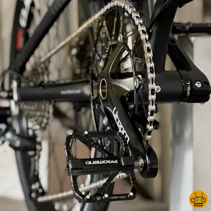 LITEPRO branded chainring on Fnhon folding bike
