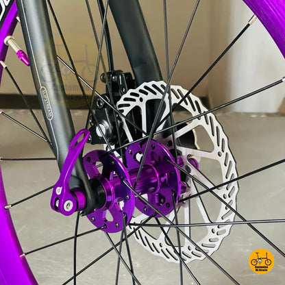 Fnhon Blast folding bicycle Litepro high profile front wheel close up folding bike wheelset
