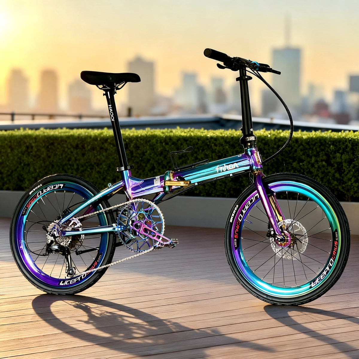 Fnhon 22" Oil Slick lightweight folding bike with Shimano 9 gears