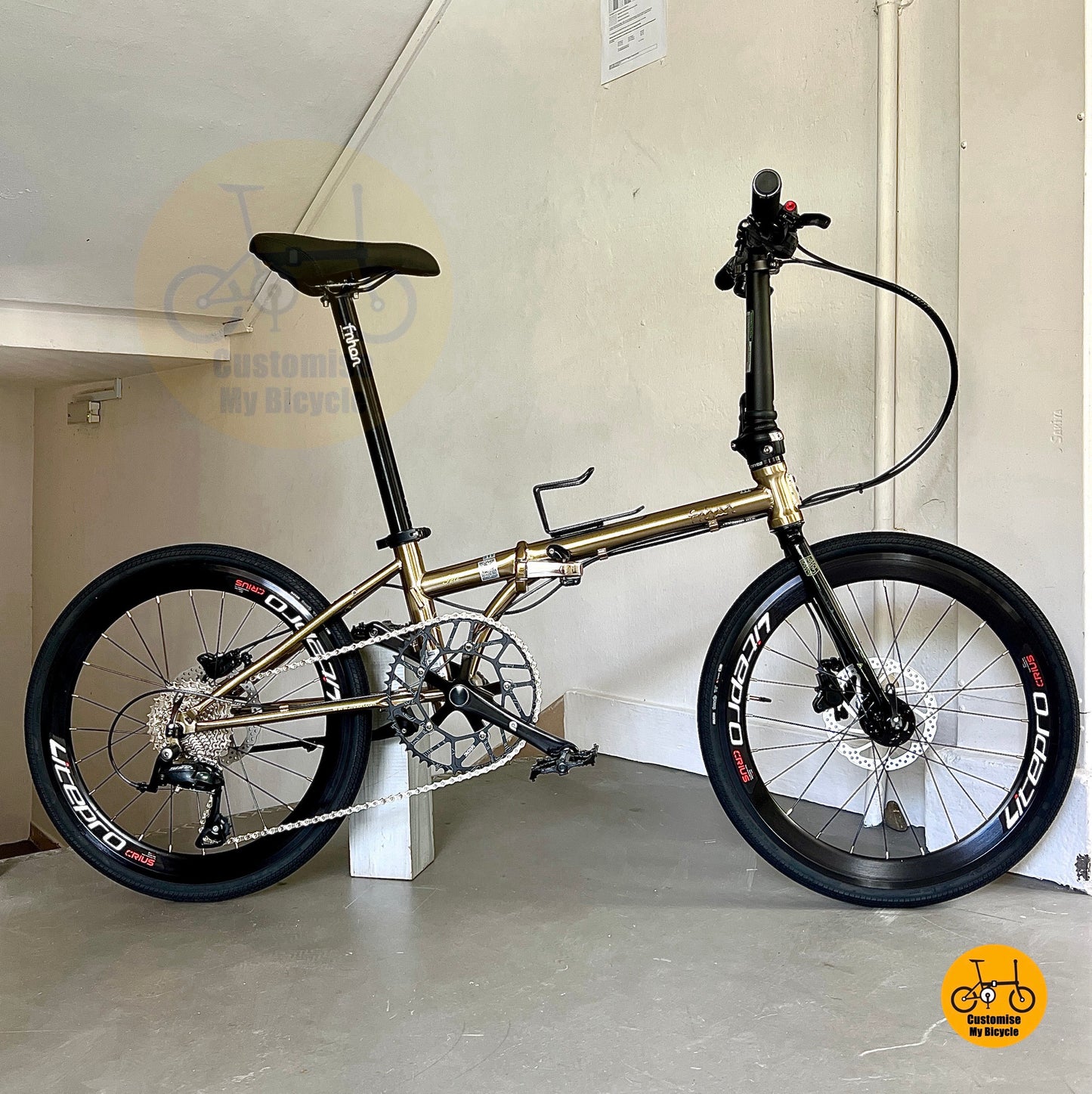 Fnhon Gust 22 Inch Folding Bike Titanium Gold Chromoly Body Shimano 9 Speed Litepro
