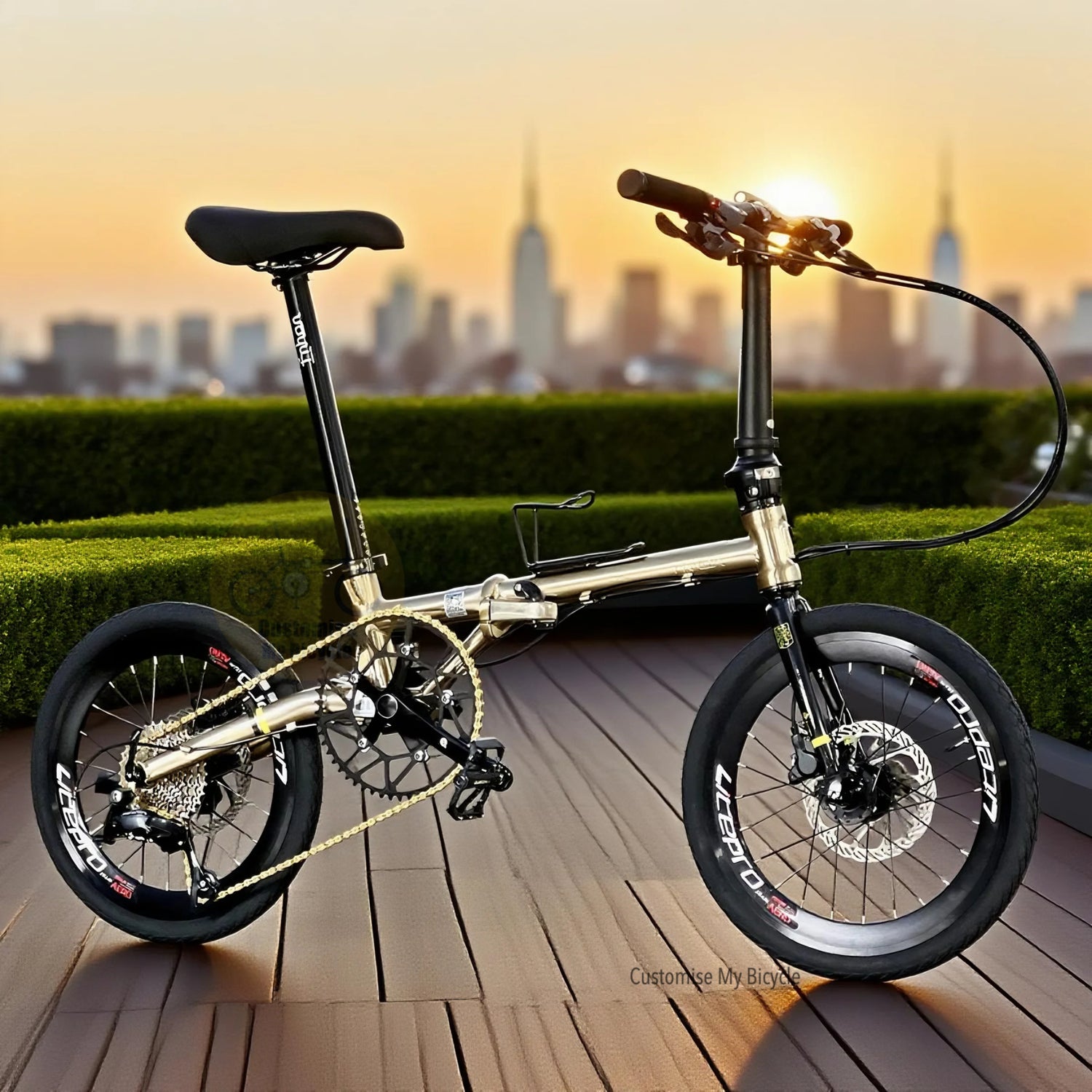 Fnhon Gust 18 Inch Titanium Gold Folding Bike With Shimano 9 Gears And Chromoly Steel Frame
