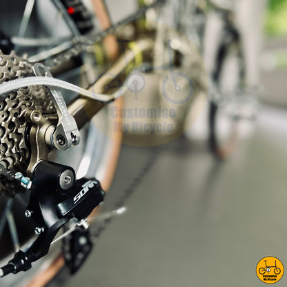 Fnhon Gust 18” • Shimano 9s • Titanium Gold