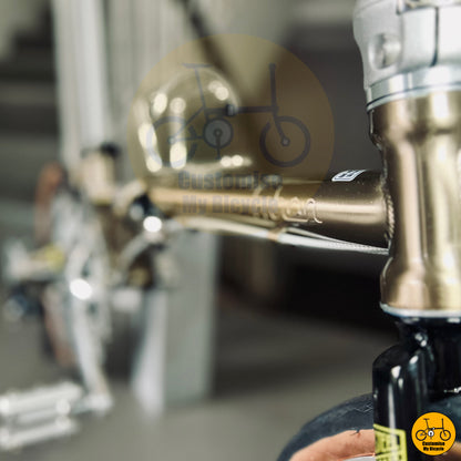 Fnhon Gust 18” • Shimano 9s • Titanium Gold