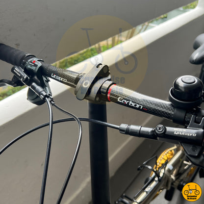 Fnhon Gust 18” • Shimano 10s • Titanium Gold