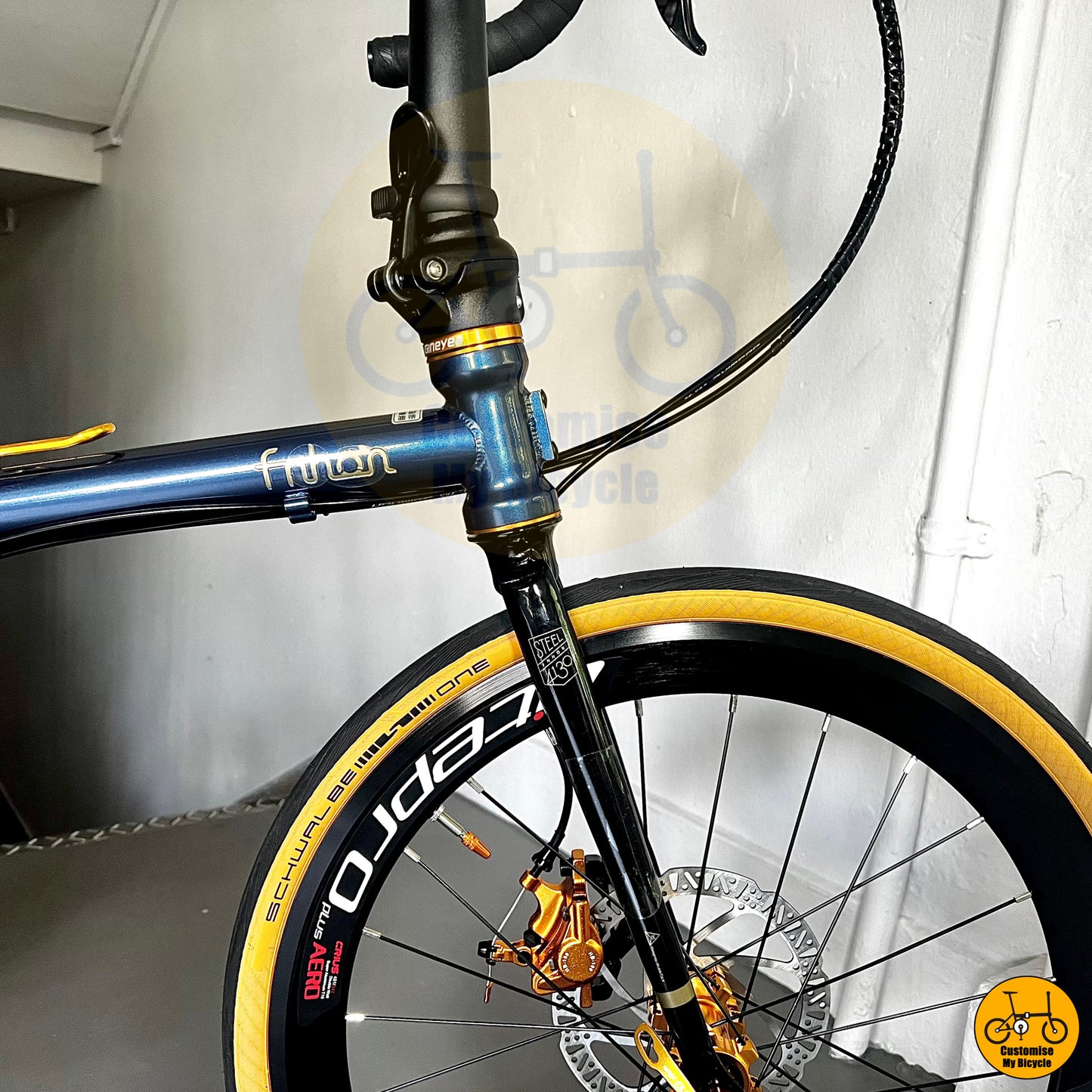 Fnhon Gust foldie with deep-section Litepro wheels for speed and stability
