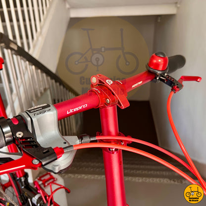 Black gold frame with red handlebar grips for a unique ride experience
