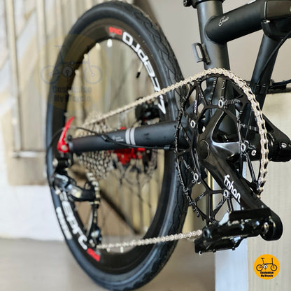Fnhon Gust folding bike crankset close up Litepro hollow 54t chainring lightweight crank detail
