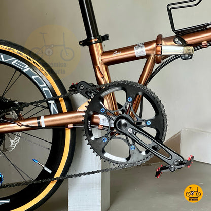 Fnhon Gust 22 inch foldable bicycle Rose Gold chromoly steel frame urban folding bike standing display
