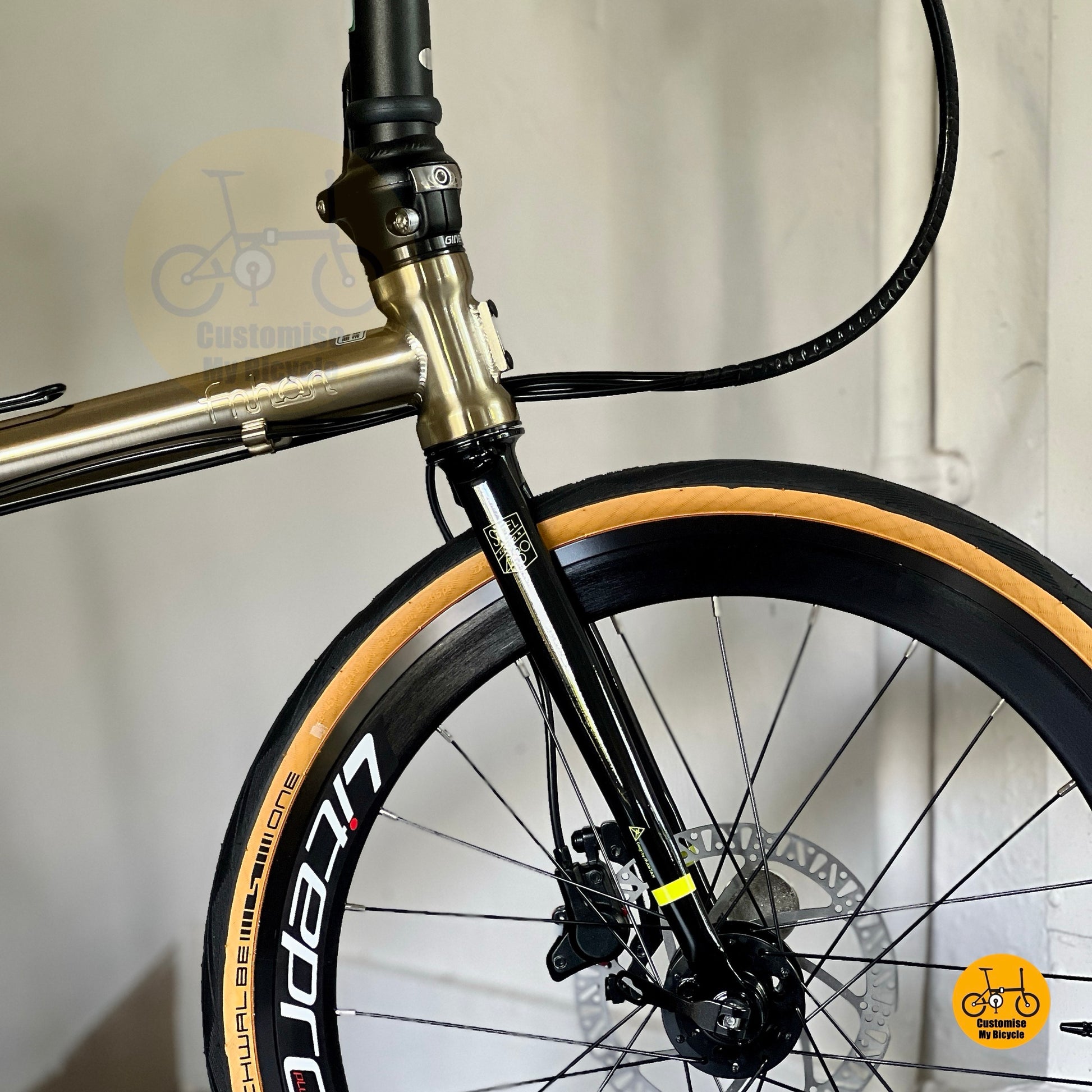 Front wheel and disc brake close-up of Fnhon Gust titanium gold, displaying Litepro rim detail and rotor design.
