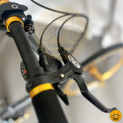 Avid Brake Lever on Black Gold Edition Fnhon Monsoon 22-Inch Folding Bike – A High-Quality Alternative to Pikes
