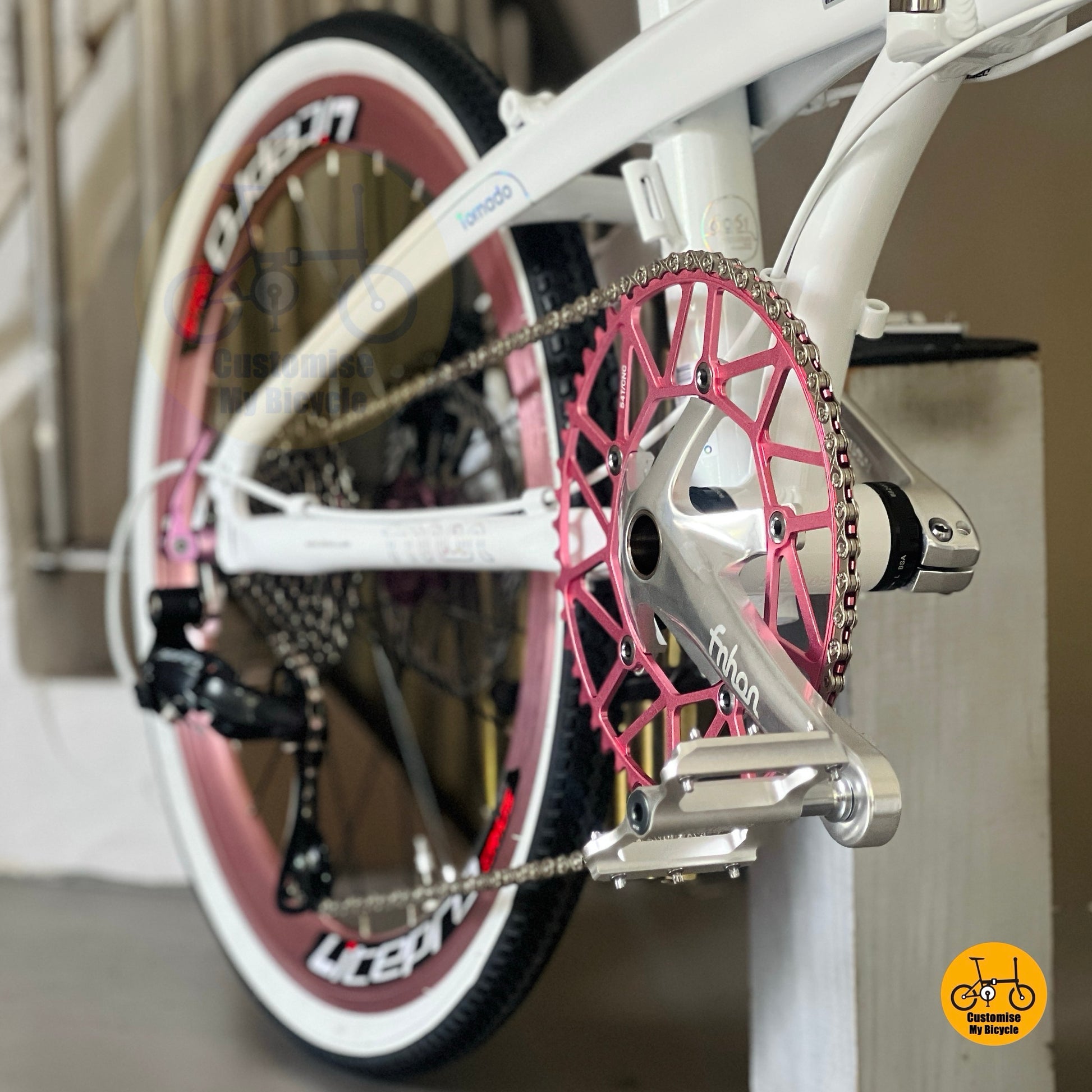 Fnhon Litepro crankset hollow 54t chainring close up folding bike performance crank
