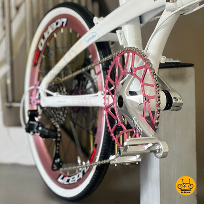 Fnhon Litepro crankset hollow 54t chainring close up folding bike performance crank
