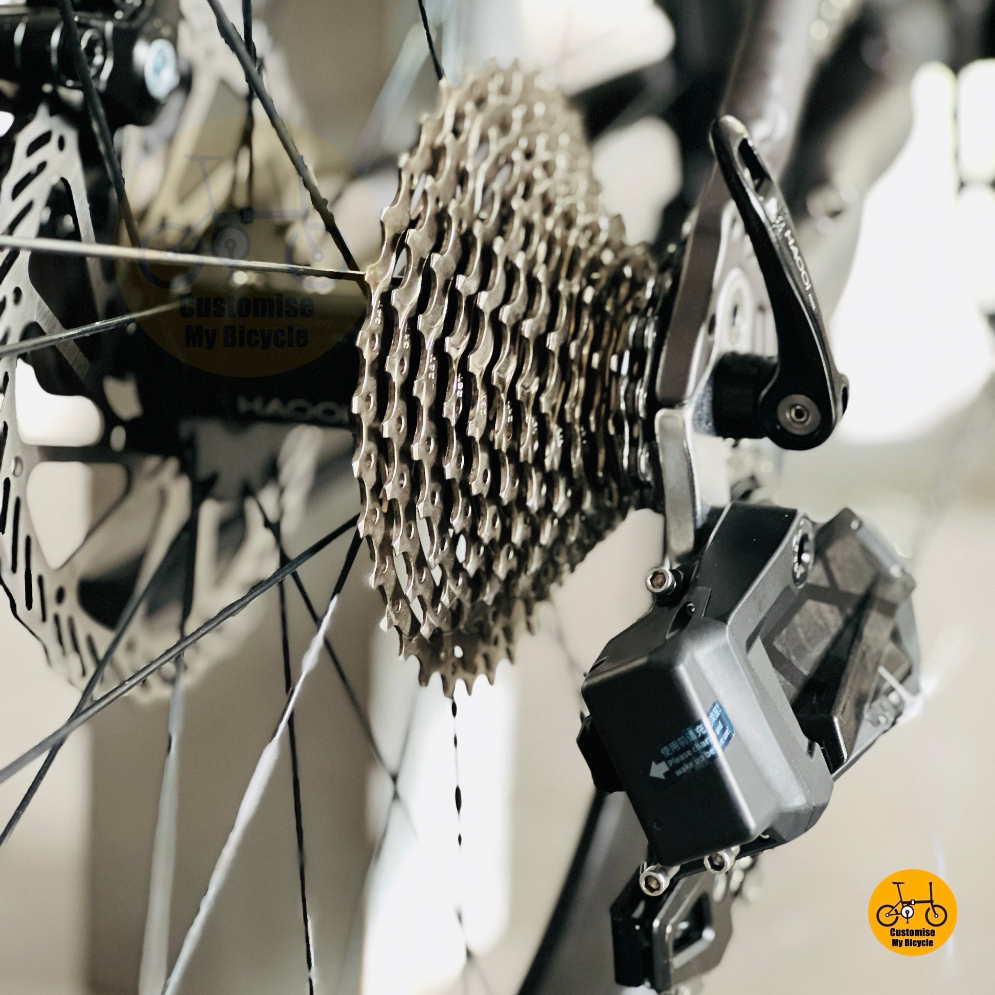 Close up WHEELTOP EDS OX2.0 wireless 12 gears drivetrain cassette derailleur detail