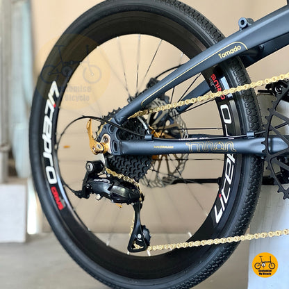 Shimano 9 gears drivetrain on folding bike fnhon Tornado 20" 451