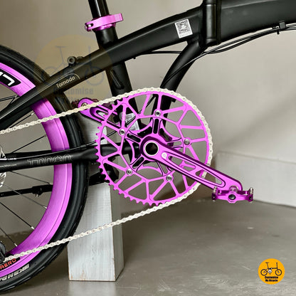 Fnhon Tornado foldable bike hollowtech crank close up Litepro 54t chainring drivetrain
