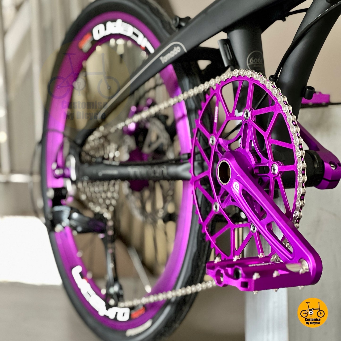 Fnhon Tornado foldable bike hollowtech crank close up Litepro 54t chainring drivetrain
