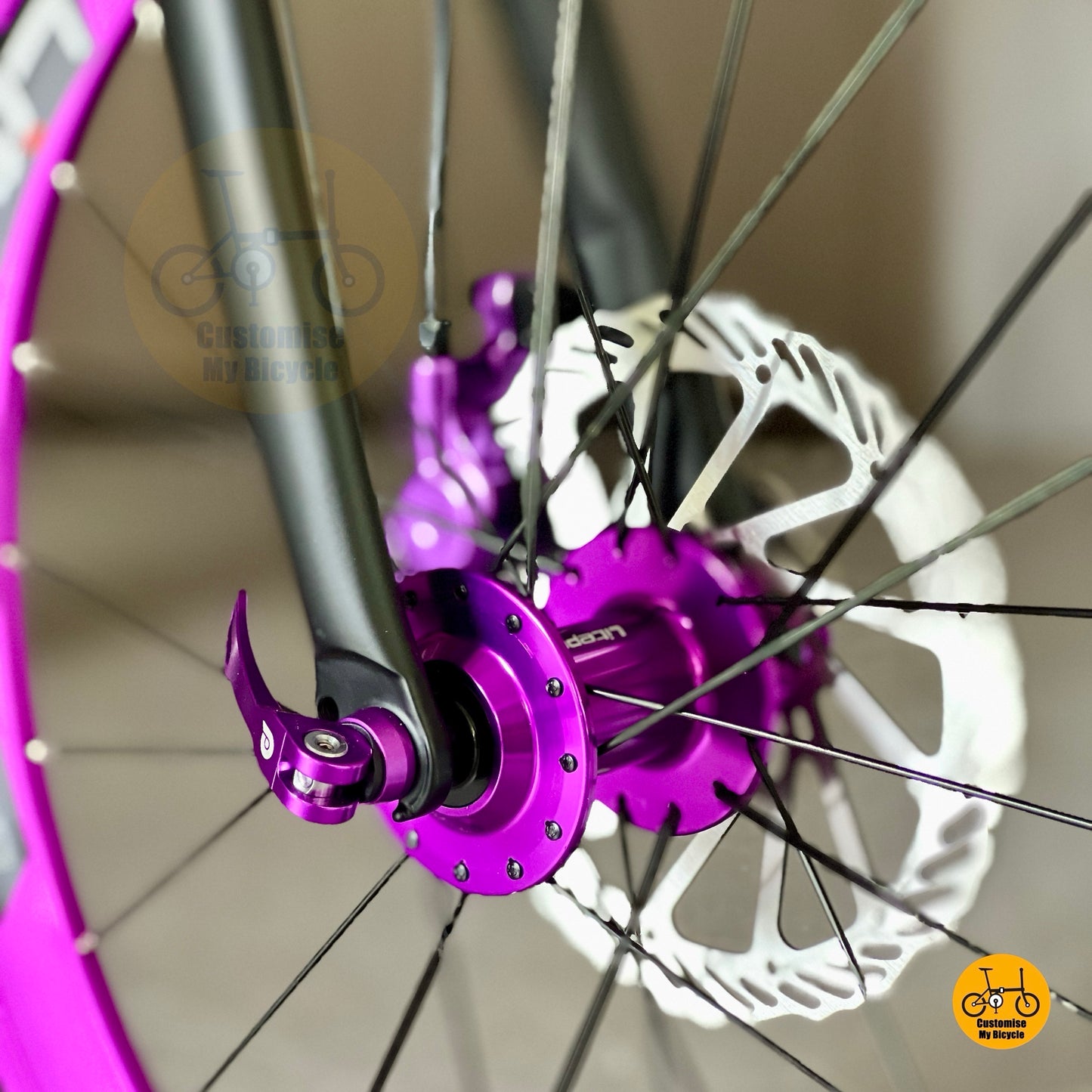 Fnhon Tornado folding bicycle front wheel close up Litepro aero smooth wheels Kenda CST tyres
