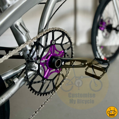 Polished Silver Folding Bike – Smooth Ride with Premium Litepro Parts
