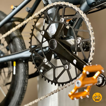 Fnhon Zephyr with adjustable seat post and chainring  
