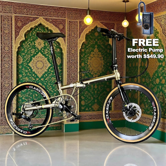 ⭐Raya Deal⭐  Fnhon Gust 22” • Shimano 9s • Titanium Gold