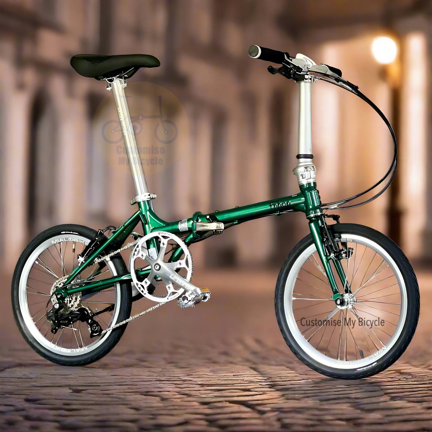 Green bicycle on a blurred background